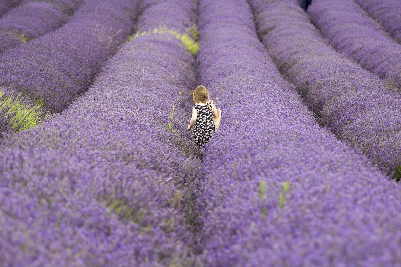 Kind im Lavendelfeld