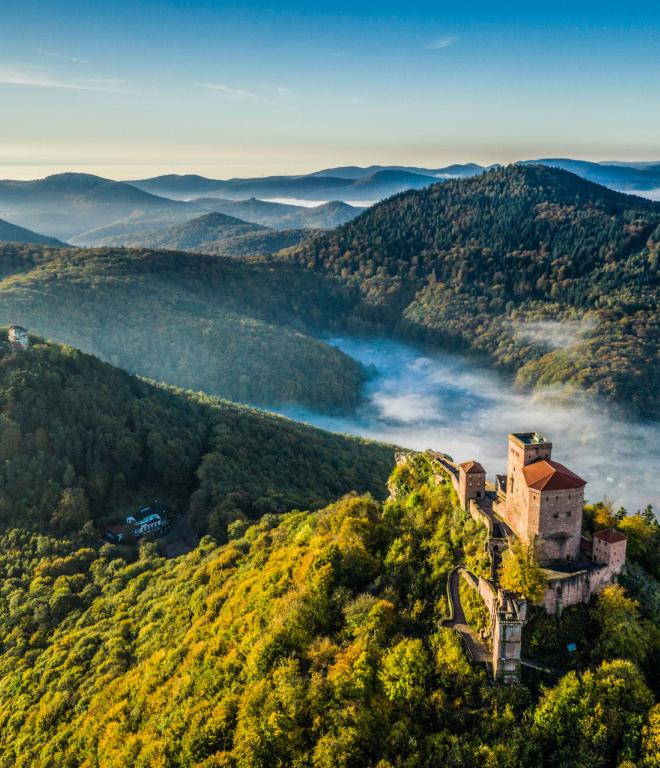 Blick von oben auf den Pfälzerwald in Rheinland Pfalz