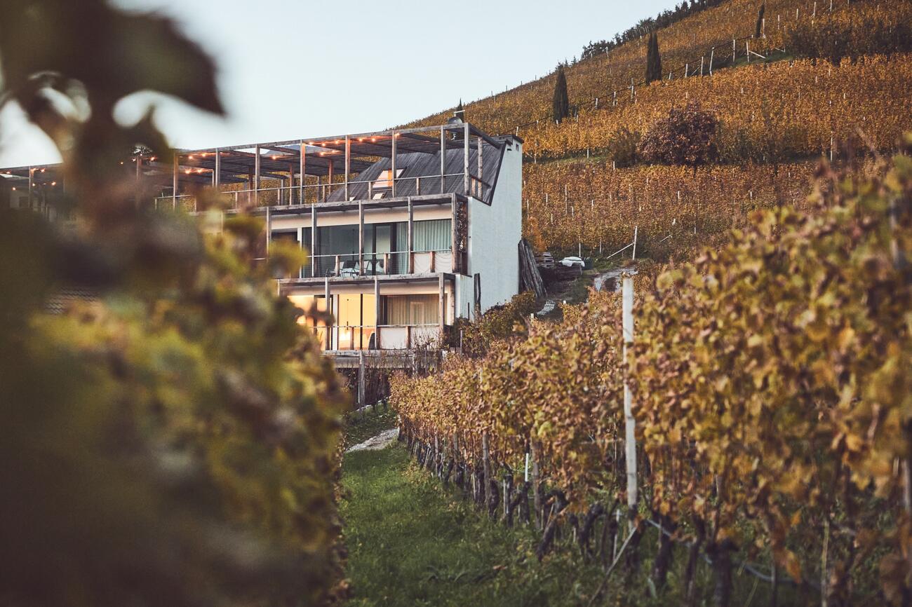 Haller Suites Weinberge Brixen Hoteleröffnungen Südtirol Italien