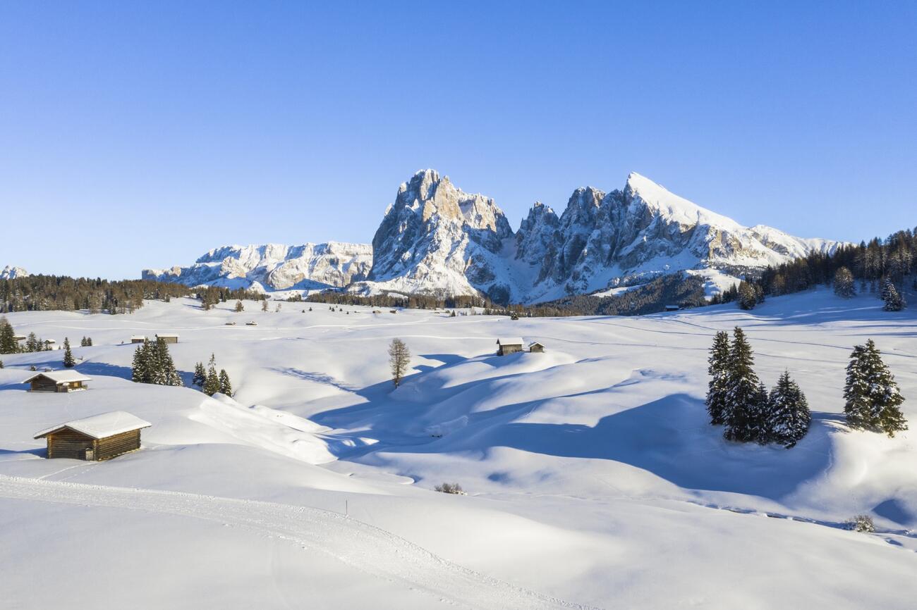 Wintererlebnisse in Südtirol Pferdeschlittenfahrt Seiser Alm