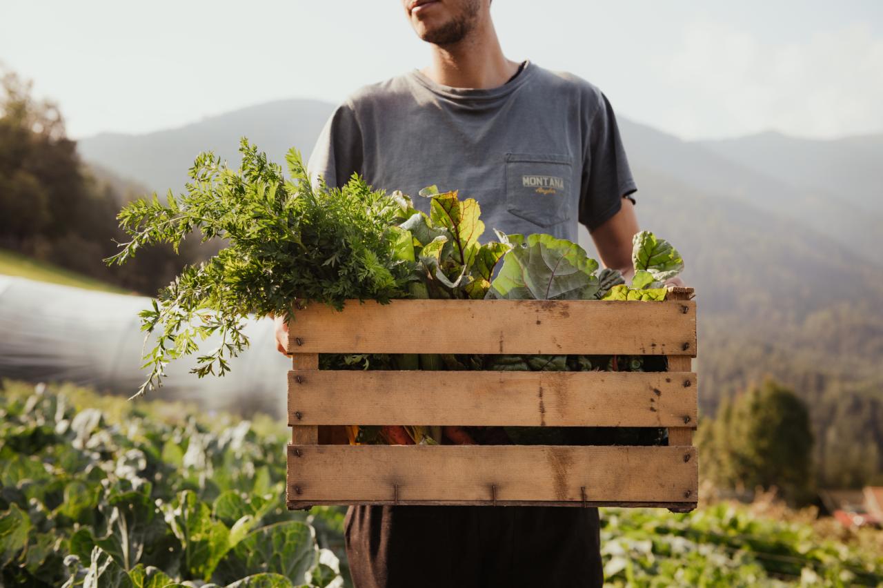 Ein Mann auf einem Feld steht und eine große Holzbox mit Gemüse trägt