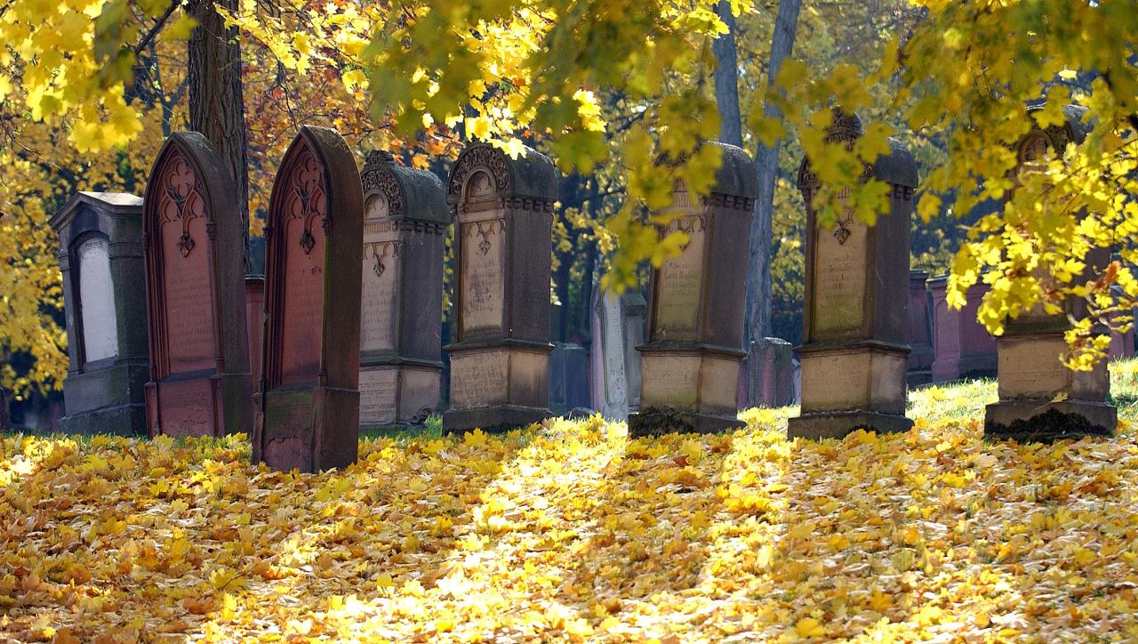 Insiderei Unesco Religionsroute Mainz Jüdischer Friedhof