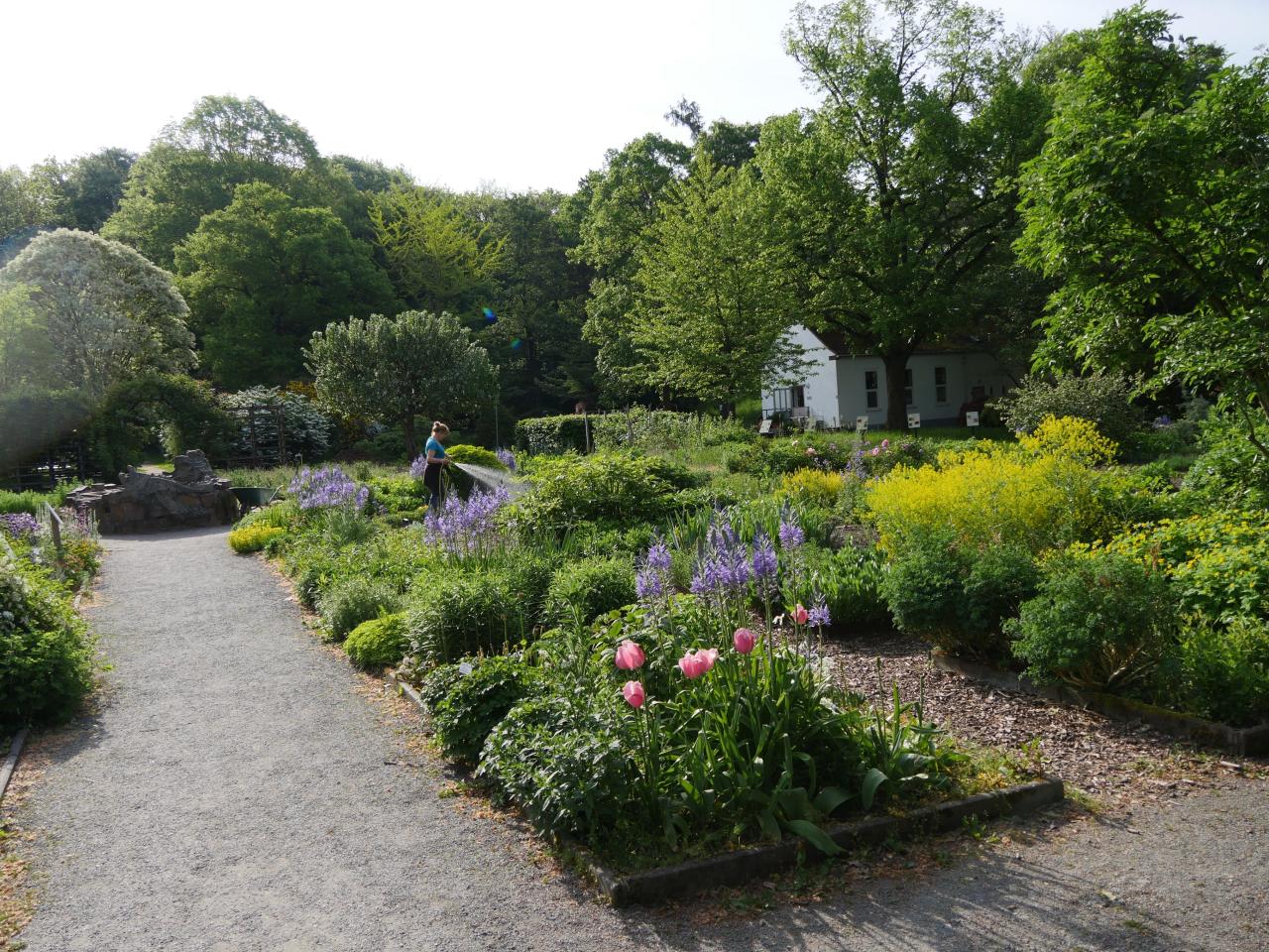 Insiderei Botanischer Garten Chemnitz Sachsen