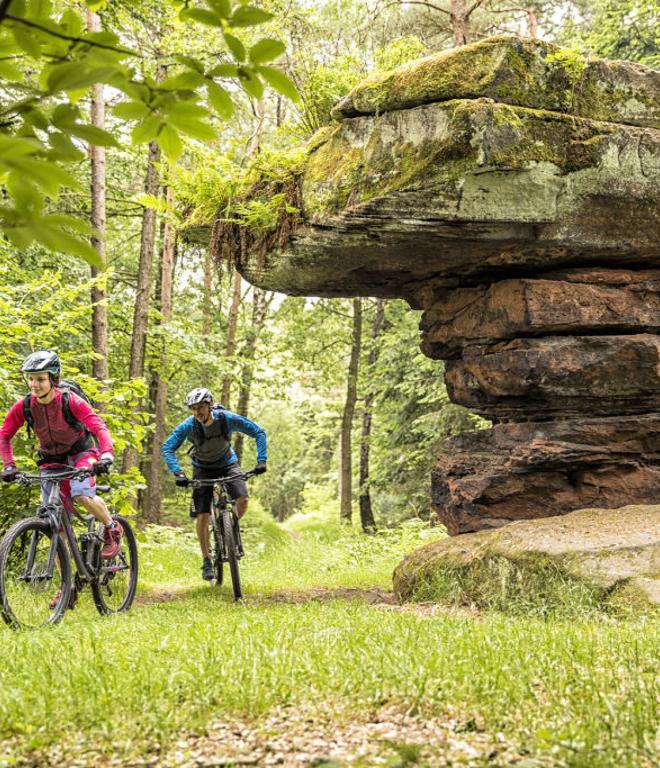 Trails im Mountainbikepark Pflälzerwald: Zwei Radfahrer im Wald neben einem großen Felsen
