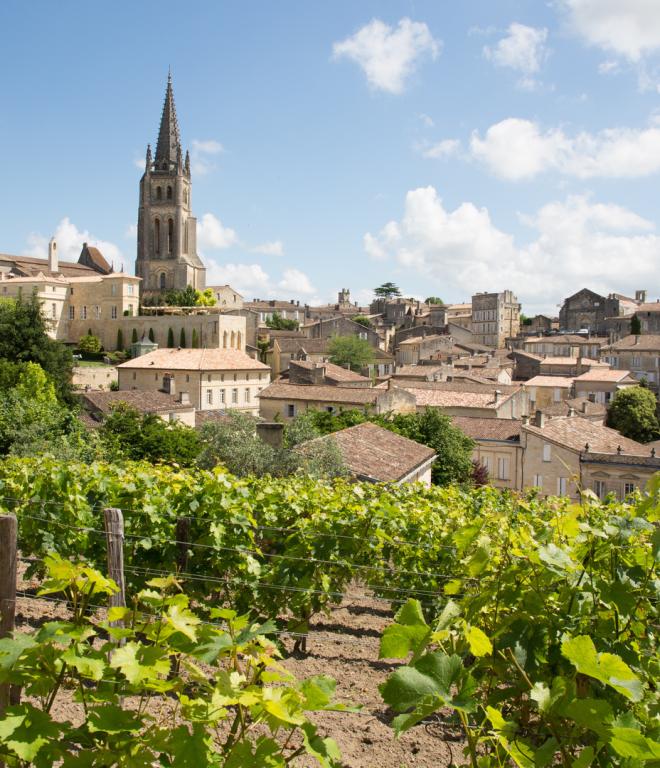 Weinanbaugebiet in Frankreich
