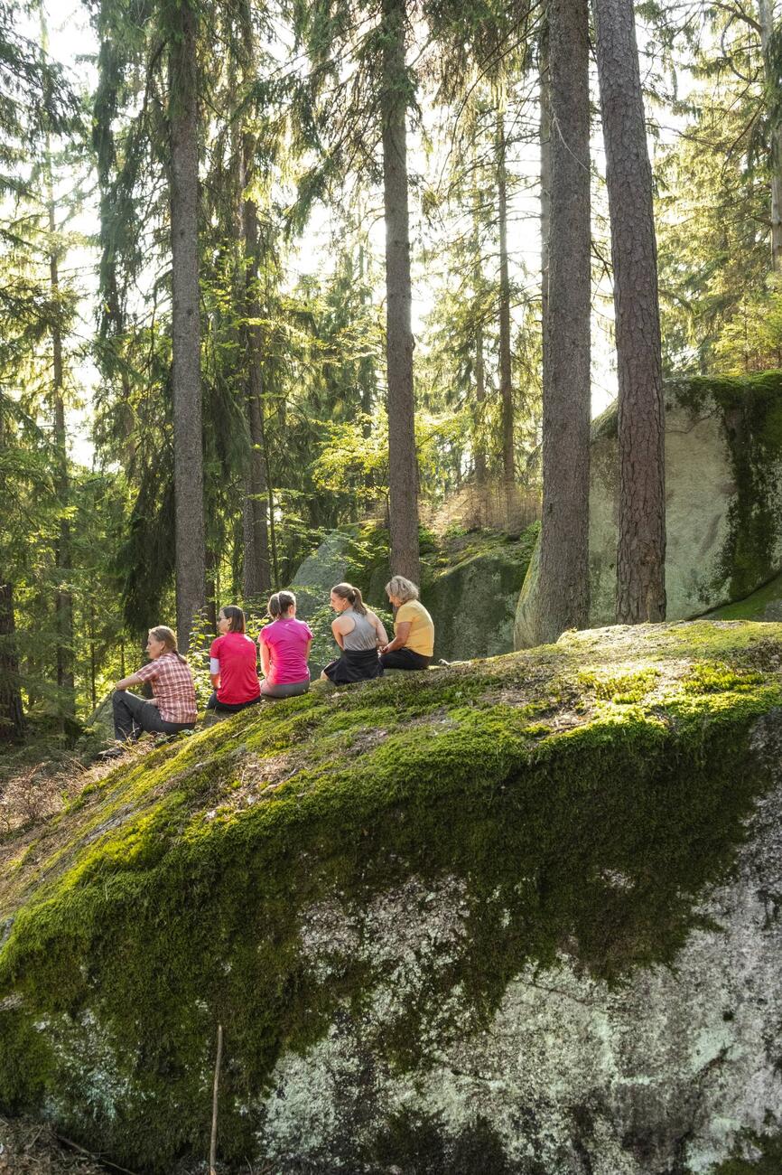 Natur-Erlebnisse in Bayern Waldbaden im Fichtelgebirge