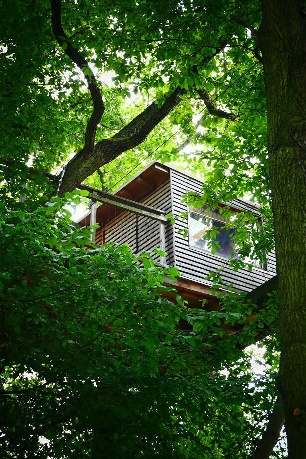 Modernes Baumhaus im Kletterwald Leipzig, das zwischen grünen Bäumen hervorschaut.
