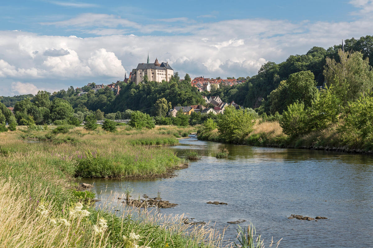 Burgen und Schlösser nahe Leipzig: Burg Mildenstein, die zwischen Wäldern und einem Fluss hervorragt.