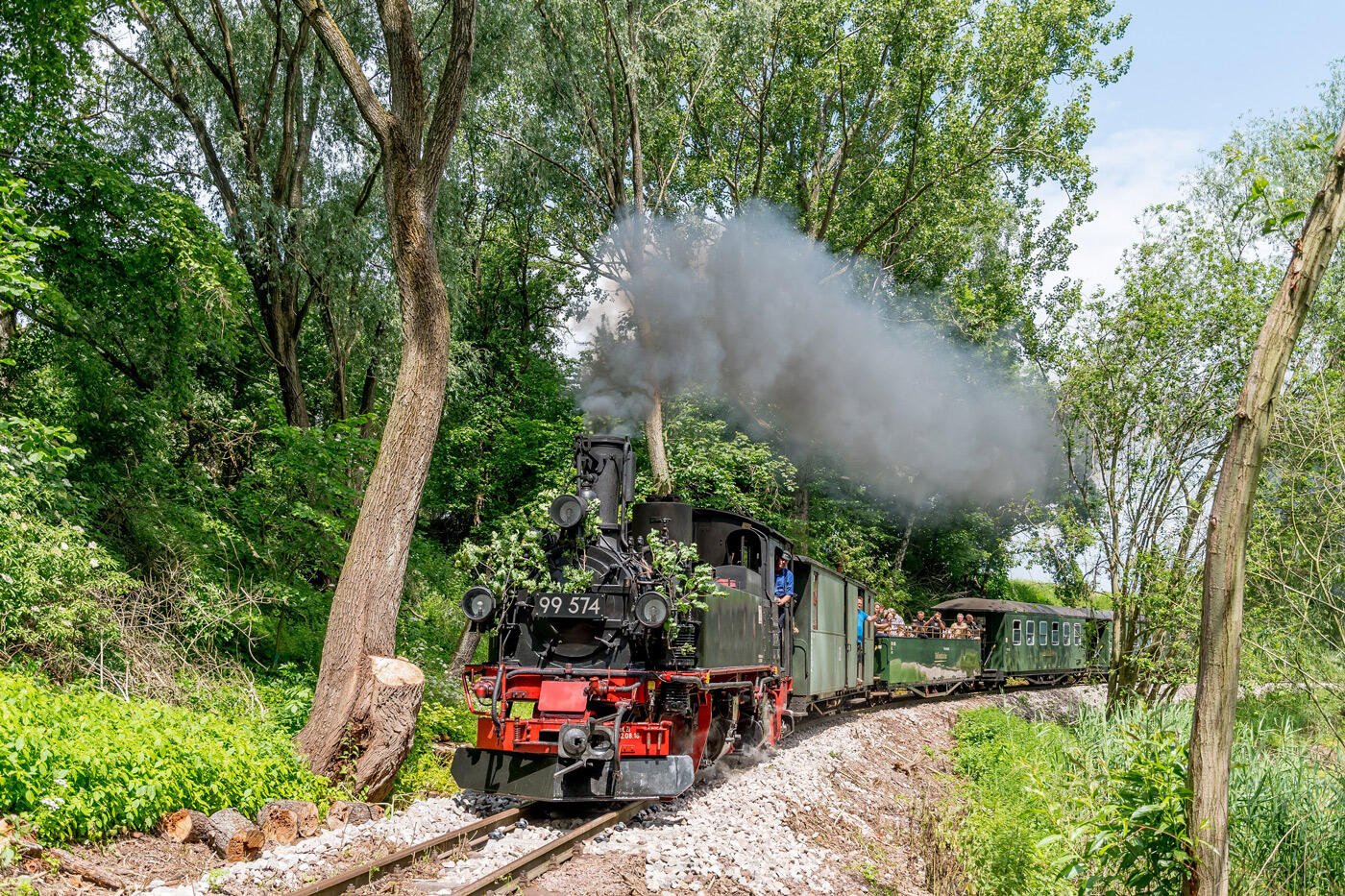 Alte Dampflockomotive, die durch den Wald fährt.