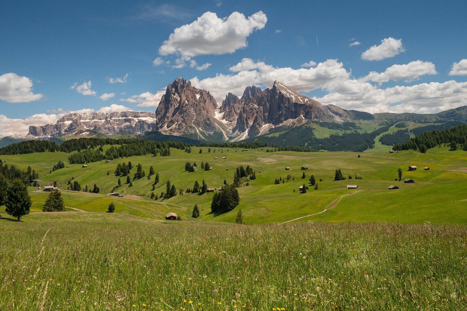 Blick über eine große Wiese mit den Dolomiten im Hintergrund