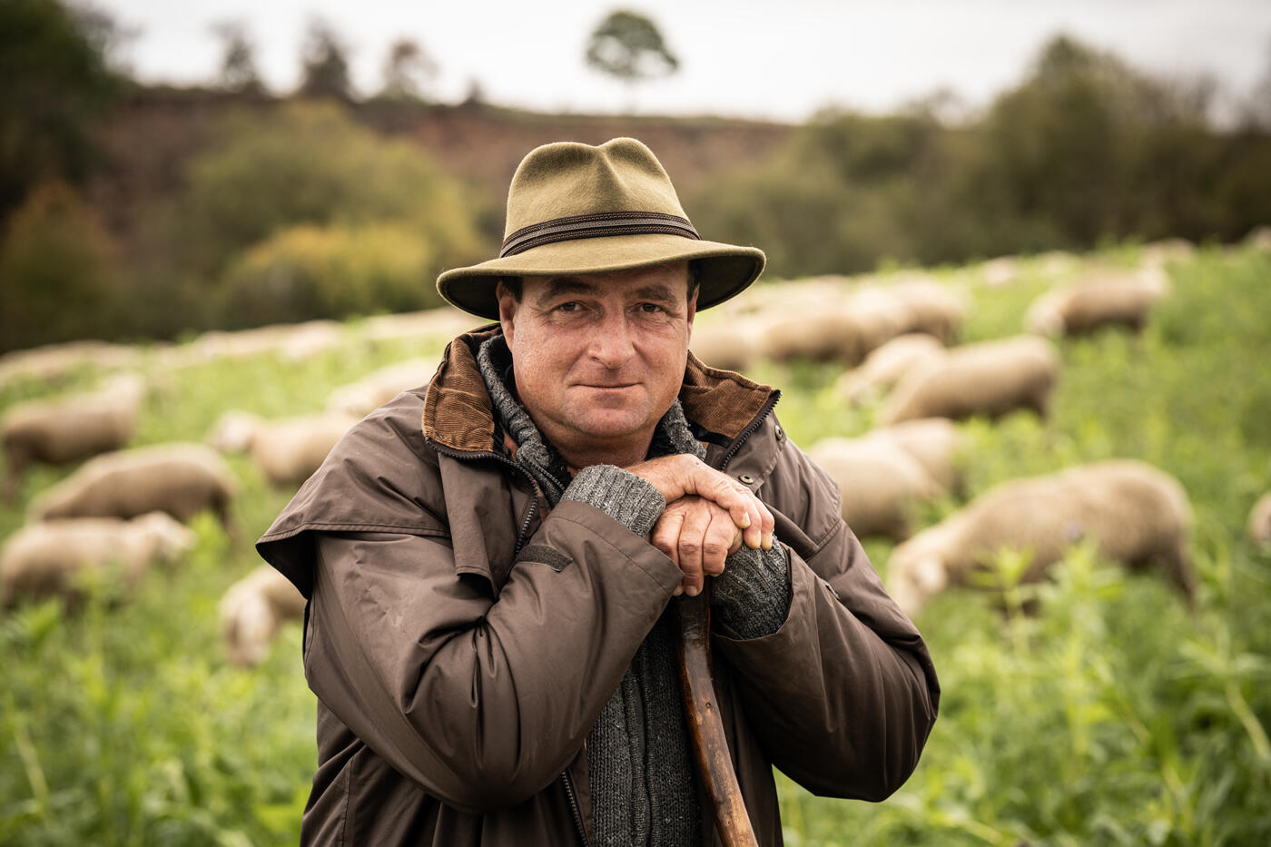 Mann mit Hut und Stock, der in einer Wiese steht. Im Hintergrund grasen Schafe.