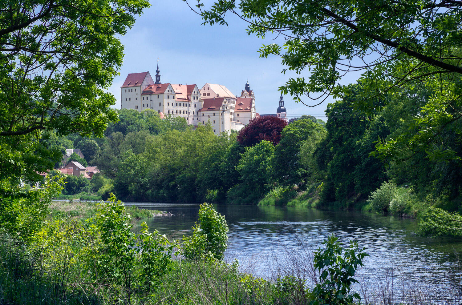 Schloss Colditz nahe Leipzig: Großes Schloss das hinter einem Wald und einem Fluss liegt